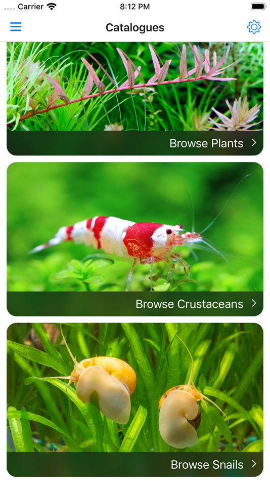 #5. Aquareka (iOS) 由: Aquareka Ltd