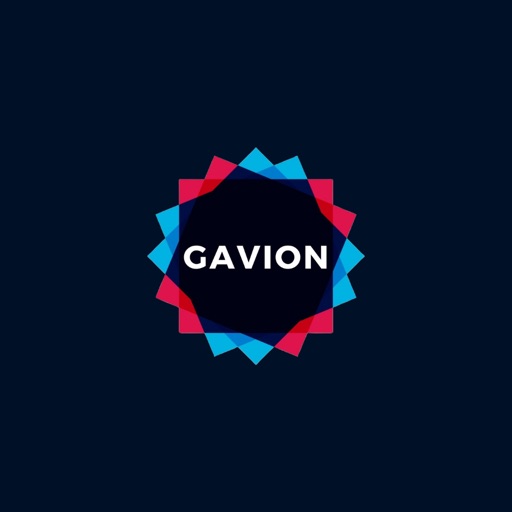 Gavion Contabilidade icon