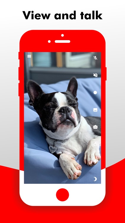 Camy — Live Video Monitoring screenshot-4