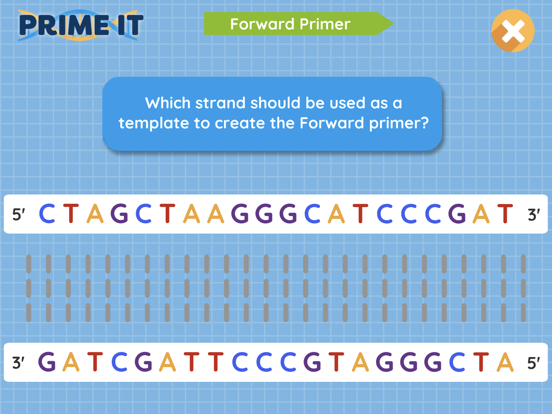 Screenshot #6 pour Prime It DNA Game