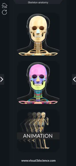 Game screenshot My Skeleton Anatomy hack