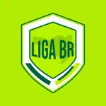 Bola na Rede - Liga De F7 App Positive Reviews