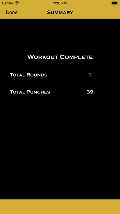 Precision Boxing Coach Pro Screenshot