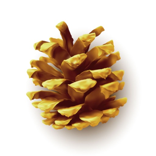 True Natured Creatives