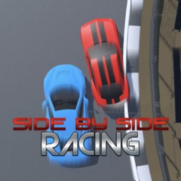 Side by Side Racing