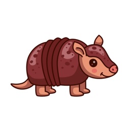 lovely armadillo