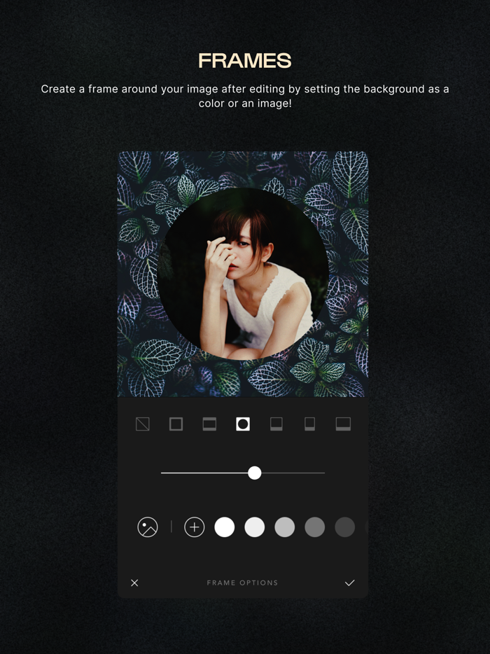 Afterlight Photo Editor