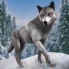 The Wild Wolf Sim: Rpg Game 3D icon