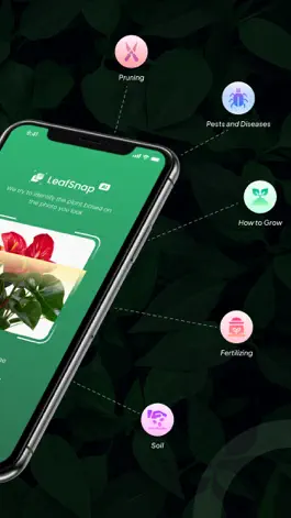 Game screenshot LeafSnap-Plant Identification apk