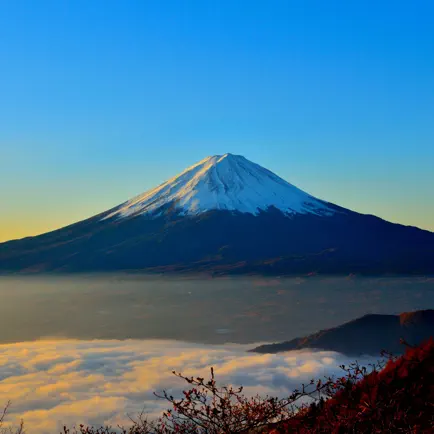 Japan Travel Blocks Cheats
