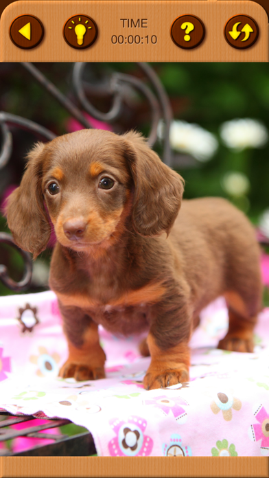 Screenshot #10 for Cute Puppy Jigsaw Puzzle Games