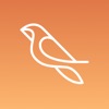 ROBINQUEST icon