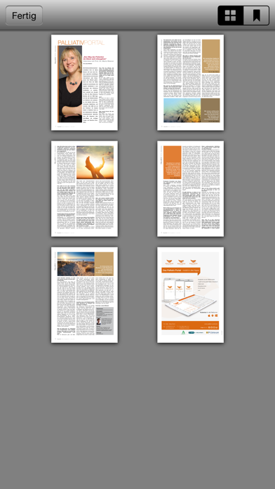 Palliativ-Archiv Screenshot