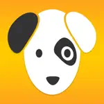 Pet Pics App Alternatives