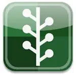 My Bible Quotes App Alternatives