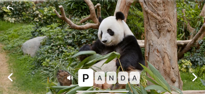 ABC Kids Games Alphabet Letter