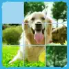 Jigsaw Puzzle - Slide Block App Delete