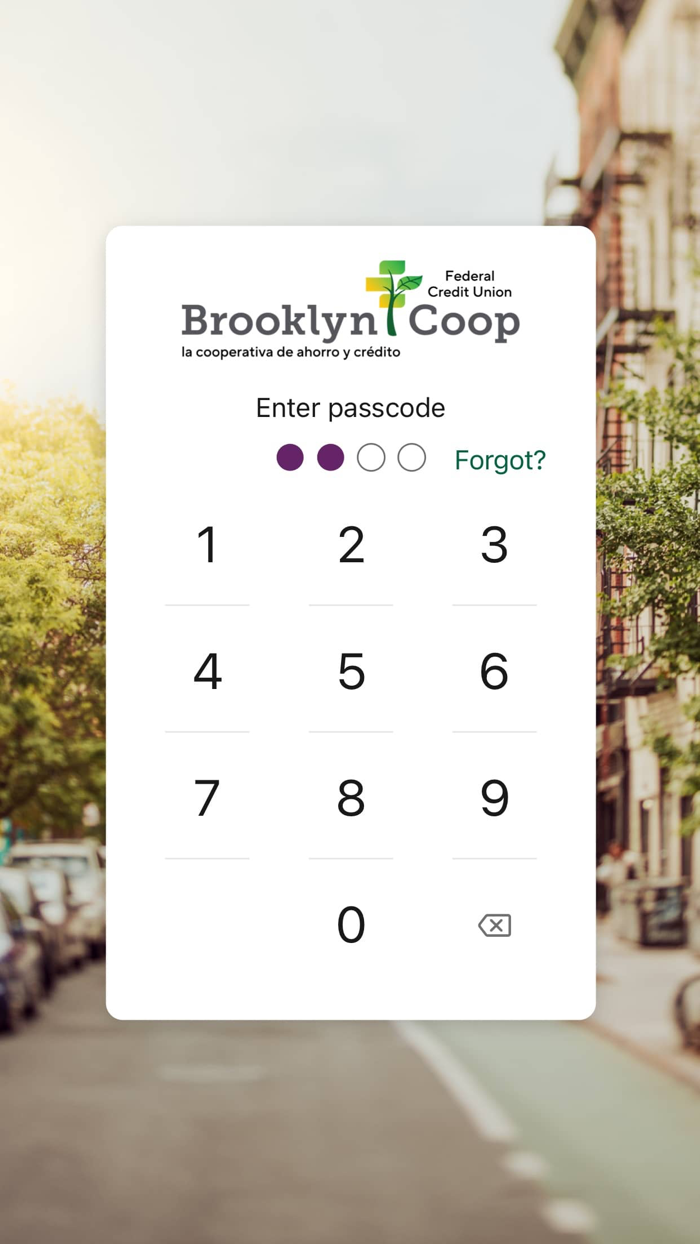 Brooklyn Cooperative FCU