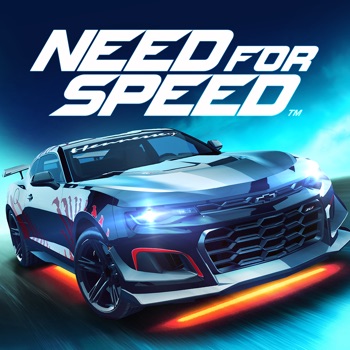 Need for Speed: NL Racing