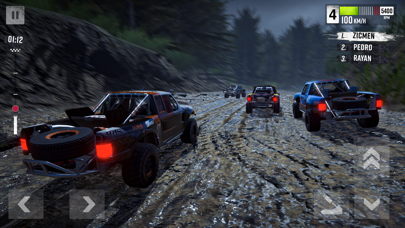 Rally Race: Offroad Screenshot