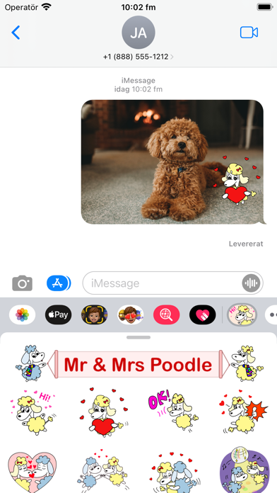 Mr & Mrs Poodle Screenshot