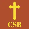 Christian Standard Bible (CSB) problems & troubleshooting and solutions