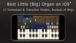 galileo organ 2 iphone screenshot 1