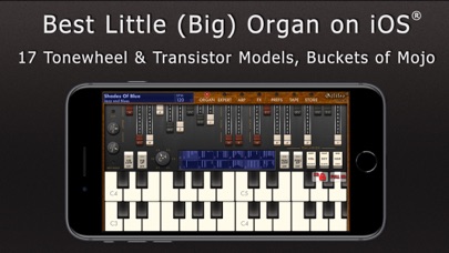 Galileo Organ 2 screenshot 1