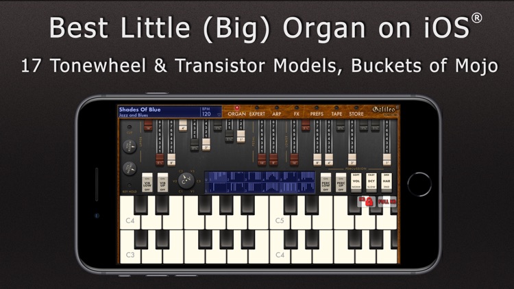 Galileo Organ 2 screenshot-0