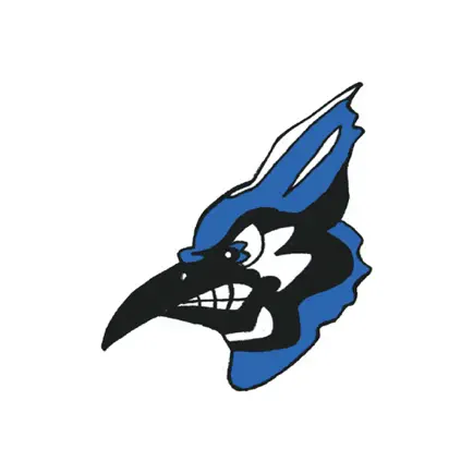 Nevada School District Читы