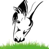 Equine Nutrition Calculator App Feedback