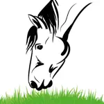Equine Nutrition Calculator App Cancel