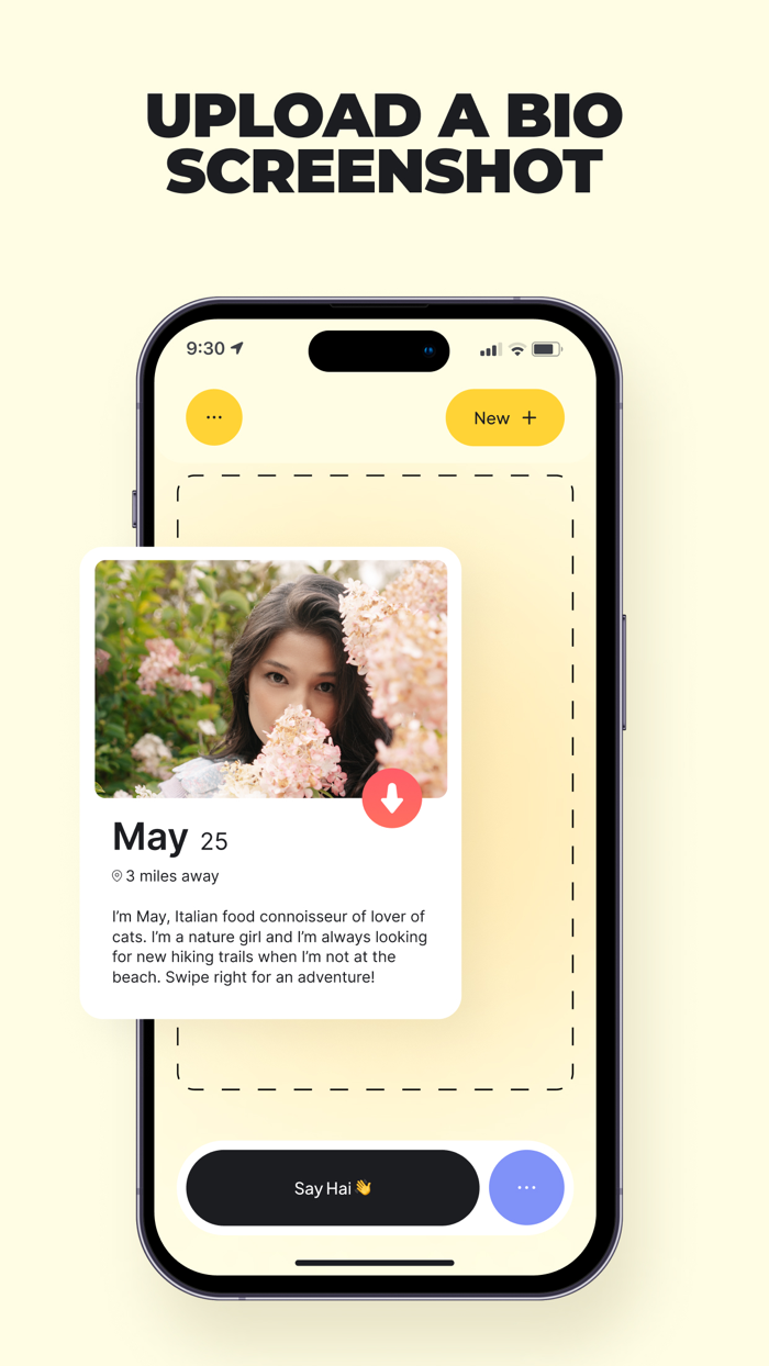 Hai AI Dating Assistant