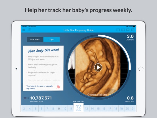 Little One Pregnancy Guide iPad screenshot