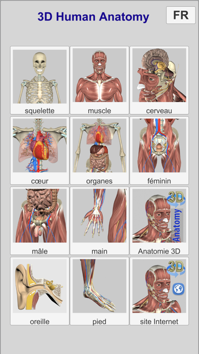 Screenshot #2 pour 3D Anatomy Learning