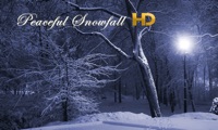Peaceful Snowfall HD