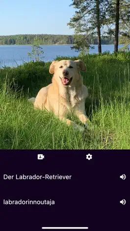 Game screenshot TR4ME mod apk
