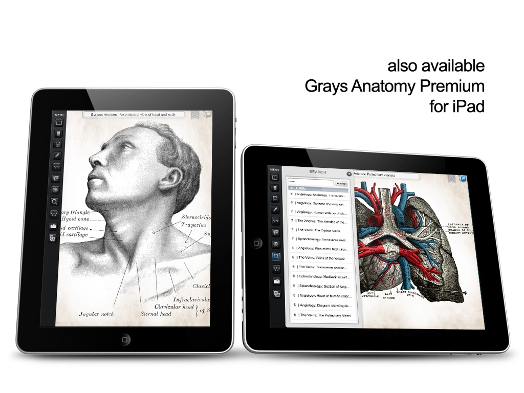 Grays Anatomy Student for iPad screenshot 4