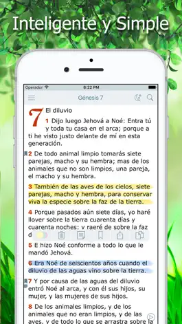 Game screenshot La Biblia Reina Valera Audio mod apk
