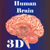Human Brain contact information
