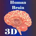 Human Brain App Cancel
