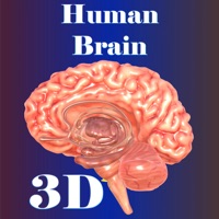 Human Brain logo