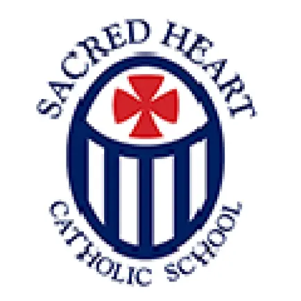 SHCS Dolphins Cheats