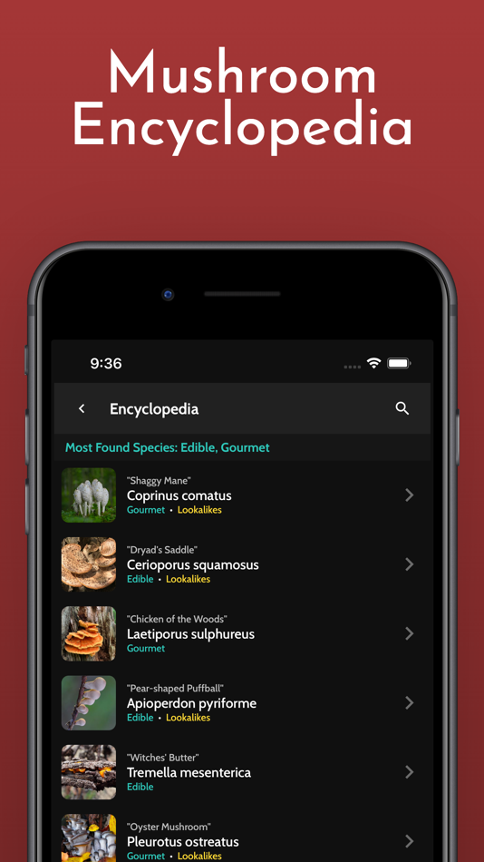 #5. ShroomID - Identify Mushrooms (iOS) 由: ZH Creations LLC
