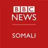 BBC News Somali problems & troubleshooting and solutions