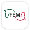 FEM icon