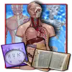 Medical Terminology Quizzes App Alternatives