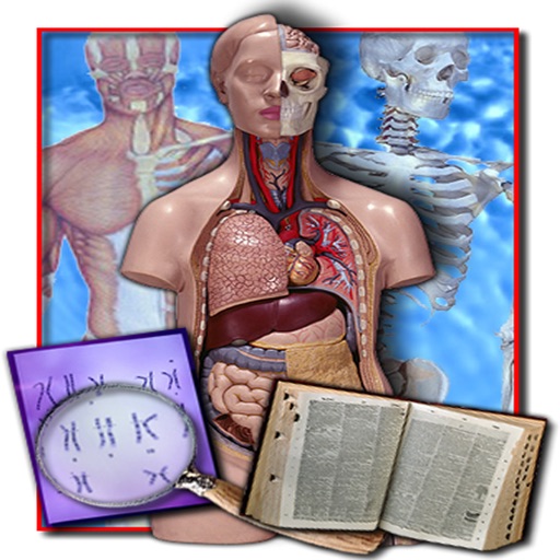 Medical Terminology Quizzes icon