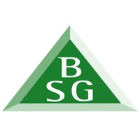 BSG HubBuilding Safety Group
