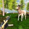 Deer Hunter Classic Game 2023 icon